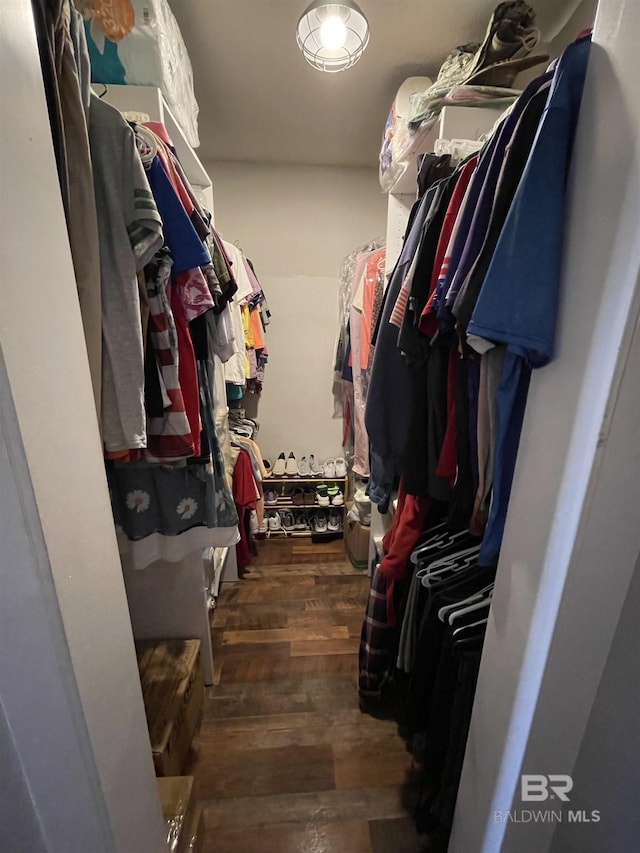 spacious closet featuring dark hardwood / wood-style floors