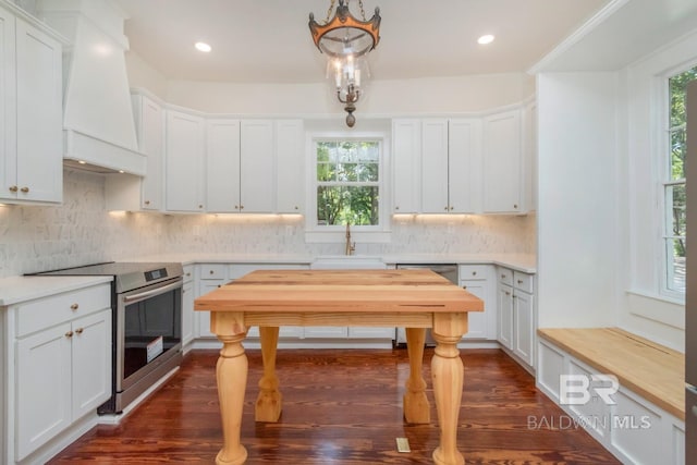 kitchen with stainless steel appliances, custom exhaust hood, white cabinets, and sink