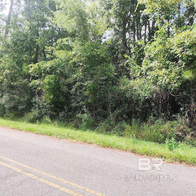 Listing photo 2 for 0000 Boykin Blvd, Lillian AL 36549