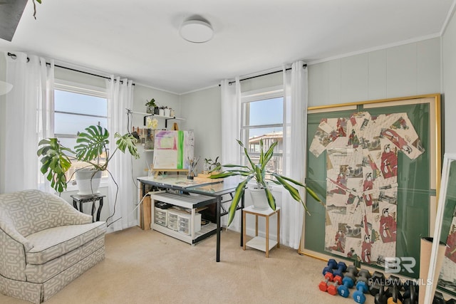 3425 Ponce De Leon Ct, Gulf Shores, AL 36542 - carpeted office featuring ornamental molding