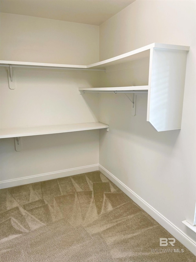 walk in closet with carpet