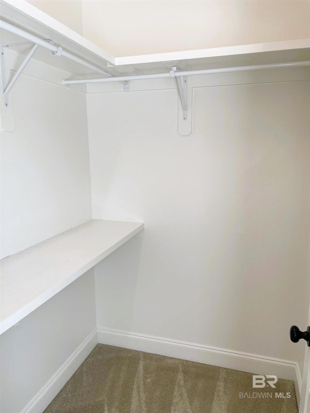spacious closet with carpet flooring
