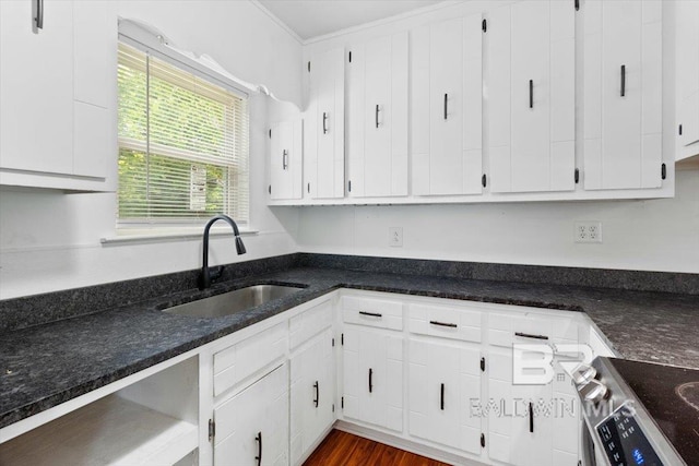 kitchen with white cabinetry, a sink, and stainless steel range with electric stovetop