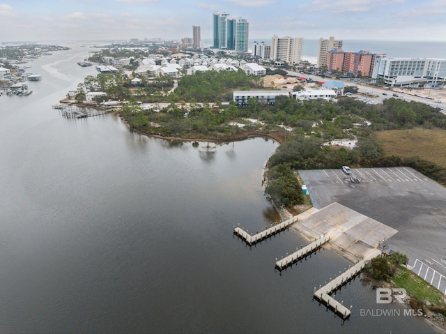 bird's eye view featuring a water view