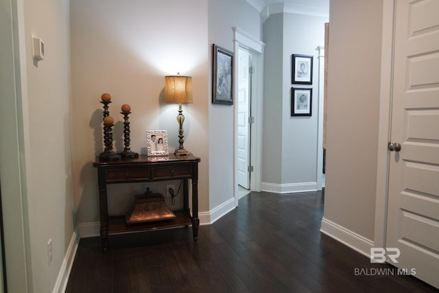 hall featuring dark wood-type flooring and ornamental molding