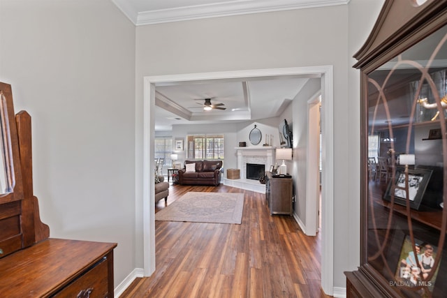 interior space featuring crown molding, wood finished floors, baseboards, and a raised ceiling