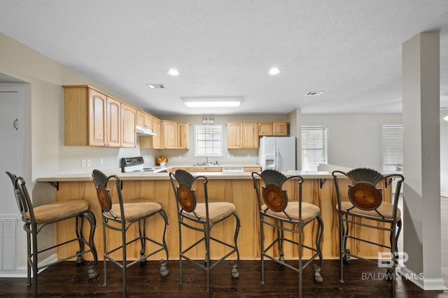 5584 Pensacola Ave, Orange Beach, AL 36561 - kitchen with a peninsula, light brown cabinetry, white appliances, under cabinet range hood, and a sink