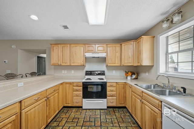 5584 Pensacola Ave, Orange Beach, AL 36561 - kitchen featuring light brown cabinetry, white dishwasher, a sink, range with electric cooktop, and under cabinet range hood