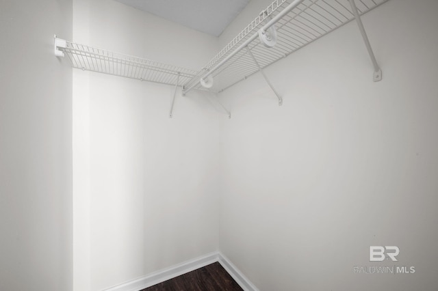 5584 Pensacola Ave, Orange Beach, AL 36561 - walk in closet with dark wood-style flooring