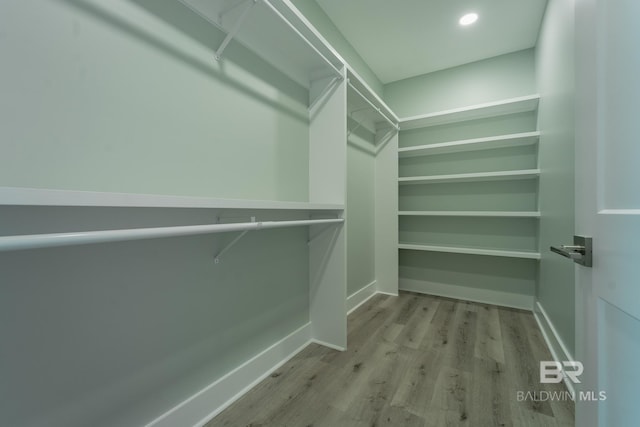 11341 Tall Timber Ln, Elberta, AL 36530 - spacious closet with wood finished floors