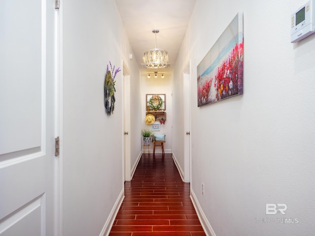 hallway featuring dark hardwood / wood-style flooring and a notable chandelier