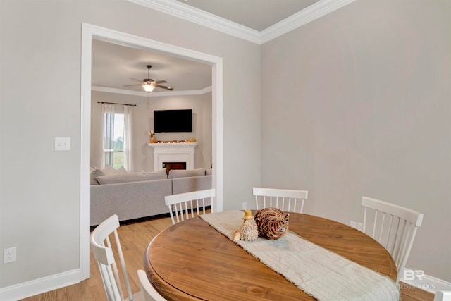 dining room featuring crown molding, light hardwood / wood-style flooring, and ceiling fan