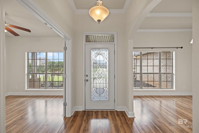 foyer entrance featuring crown molding, dark hardwood / wood-style floors, and a healthy amount of sunlight
