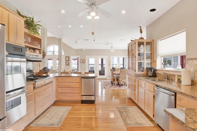 kitchen with appliances with stainless steel finishes, a wealth of natural light, ceiling fan, and light brown cabinetry