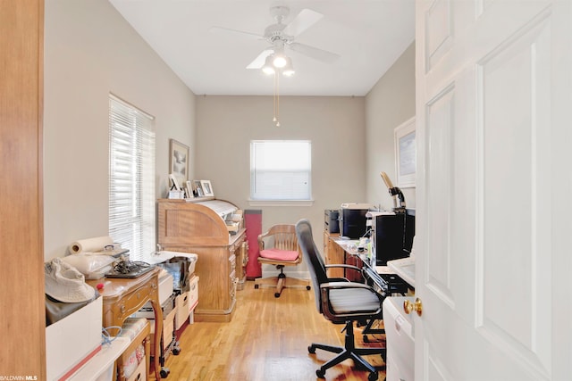 office space with ceiling fan and light hardwood / wood-style flooring