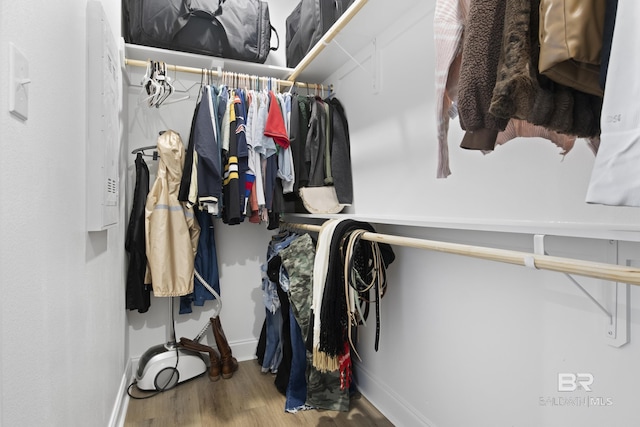 walk in closet with hardwood / wood-style floors