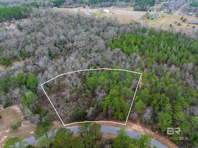 31 Mary Jane Dr, Bay Minette AL, 36507 land for sale