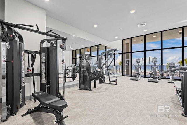 533 E Beach Blvd Unit 2403, Gulf Shores, AL 36542 - exercise room with expansive windows, carpet flooring, and recessed lighting