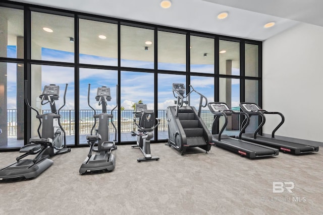 533 E Beach Blvd Unit 2403, Gulf Shores, AL 36542 - exercise room with a wall of windows, carpet floors, and recessed lighting