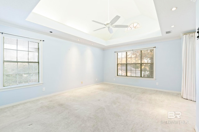 carpeted spare room featuring ceiling fan, a healthy amount of sunlight, and a tray ceiling