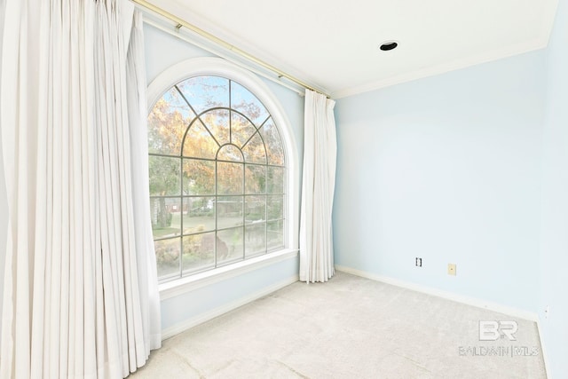 spare room with crown molding, a healthy amount of sunlight, and light carpet