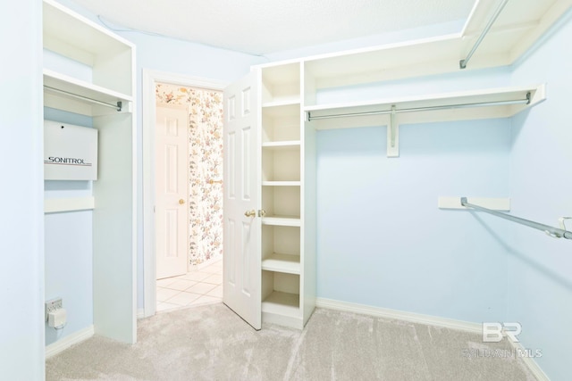 spacious closet with light carpet