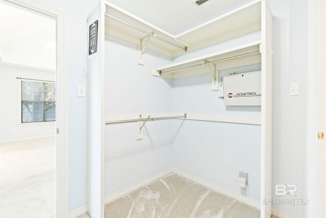 spacious closet with carpet floors