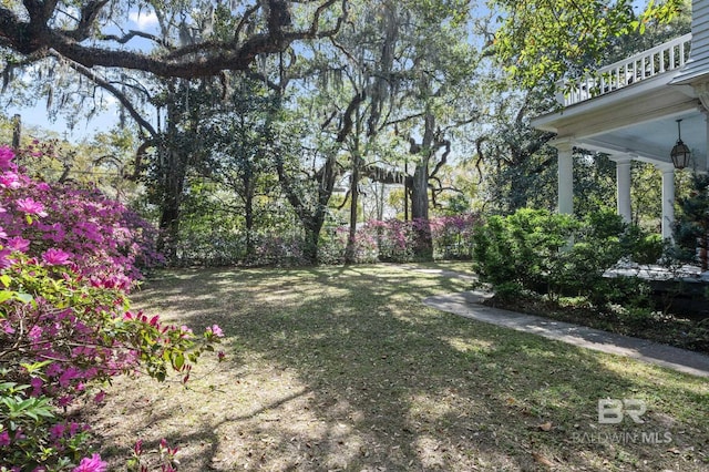 2550 Springhill Ave, Mobile, AL 36607 - view of yard