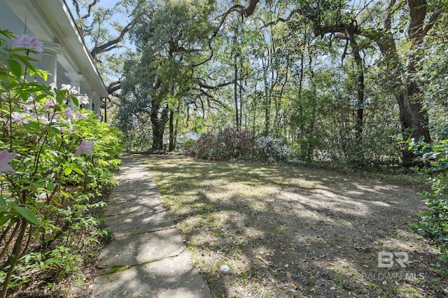2550 Springhill Ave, Mobile, AL 36607 - view of yard