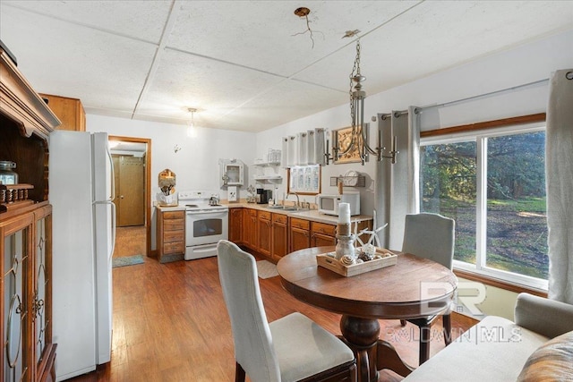 dining space with light hardwood / wood-style flooring, a drop ceiling, and sink