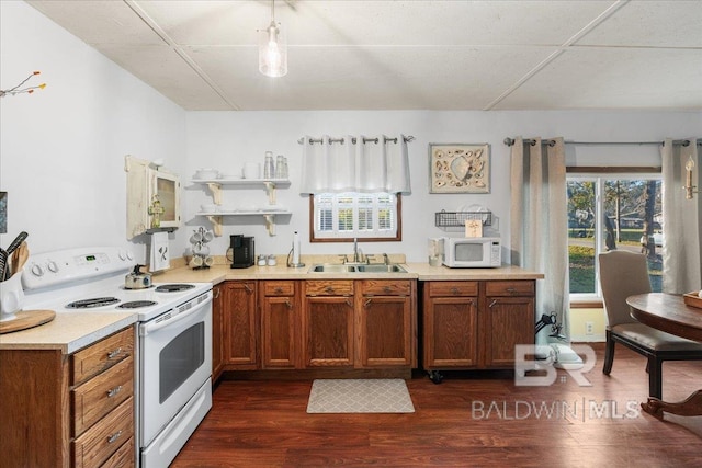 kitchen with sink, dark hardwood / wood-style floors, and white appliances