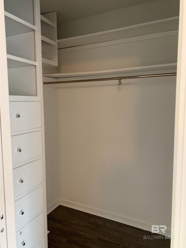 view of closet