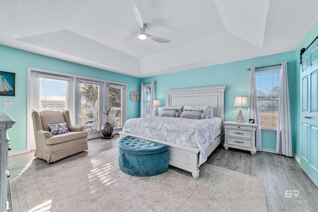 bedroom with a tray ceiling, multiple windows, a textured ceiling, and wood finished floors