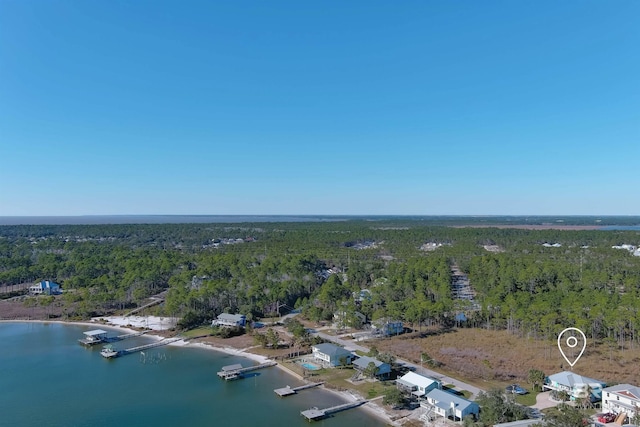 drone / aerial view with a water view and a view of trees