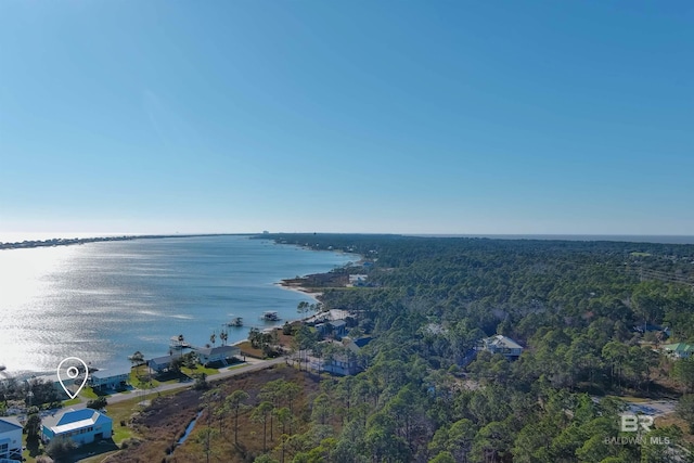bird's eye view with a water view and a wooded view