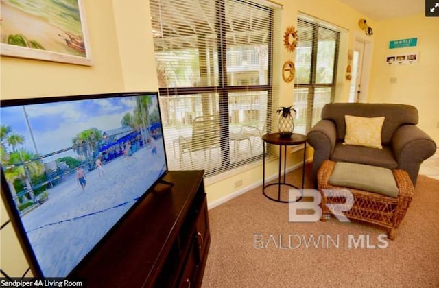 1069 W Beach Blvd Unit 4-A, Gulf Shores, AL 36542 - living area with carpet flooring