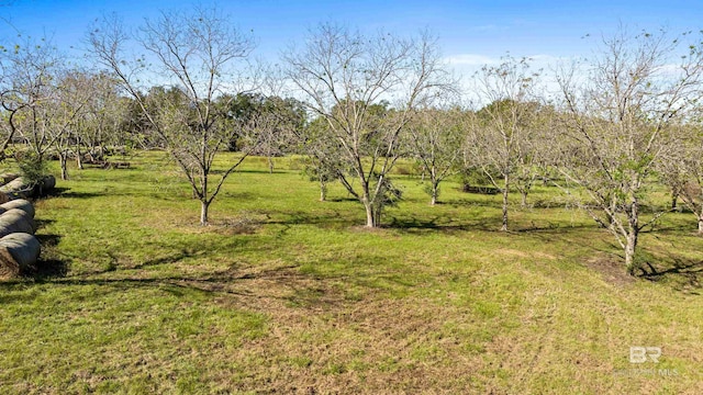 19294 County Road 33, Fairhope, AL 36532