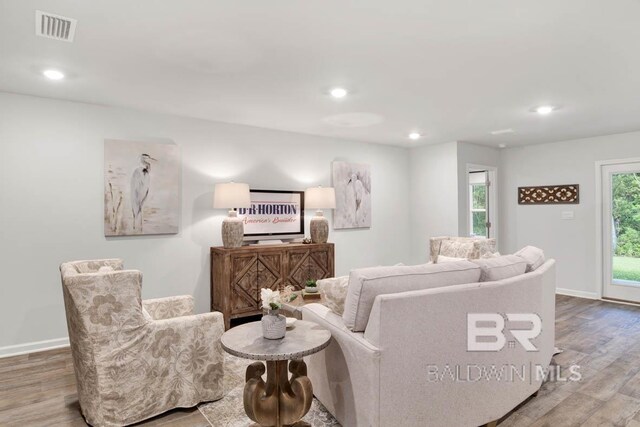 living room featuring hardwood / wood-style flooring