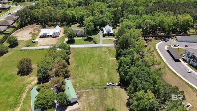 bird's eye view