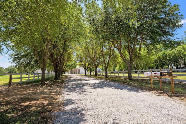 view of street with gravel driveway