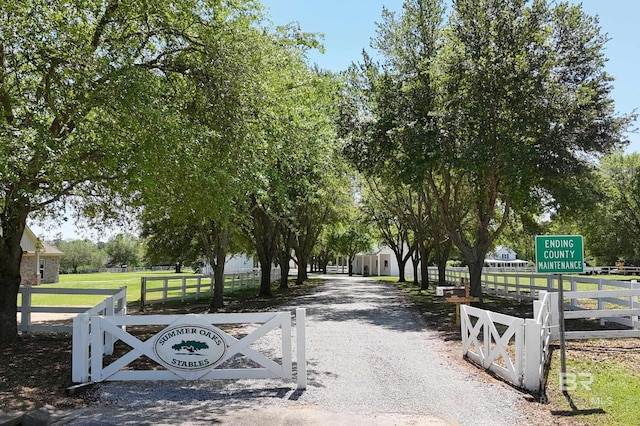 view of road featuring gravel driveway