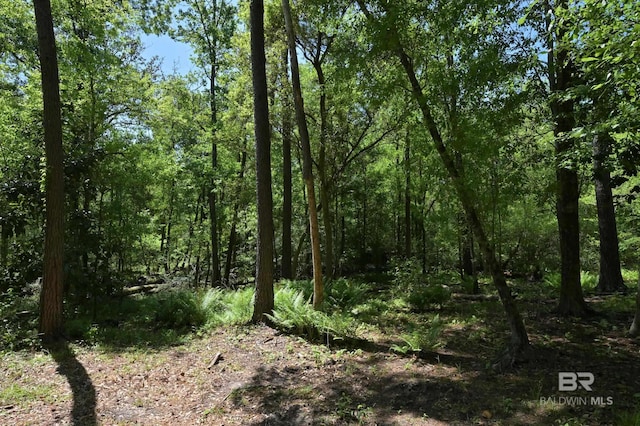 view of nature with a view of trees