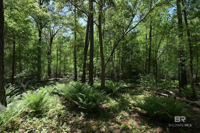view of local wilderness with a view of trees