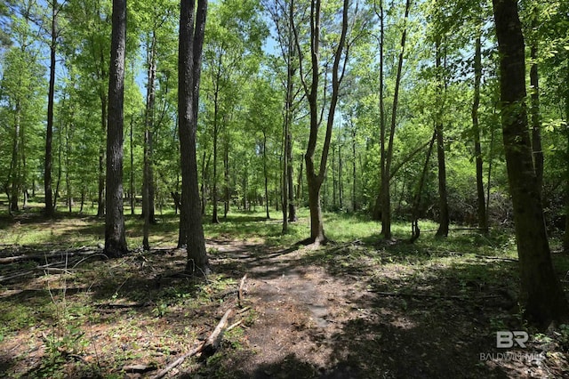 view of landscape with a view of trees