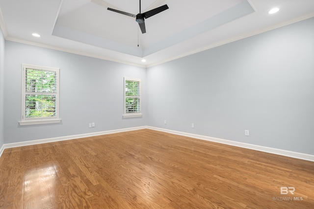 unfurnished room featuring a ceiling fan, plenty of natural light, and a raised ceiling