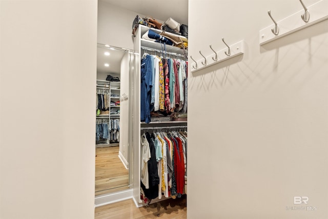 2282 W W Beach Blvd, Gulf Shores, AL 36542 - spacious closet featuring wood finished floors