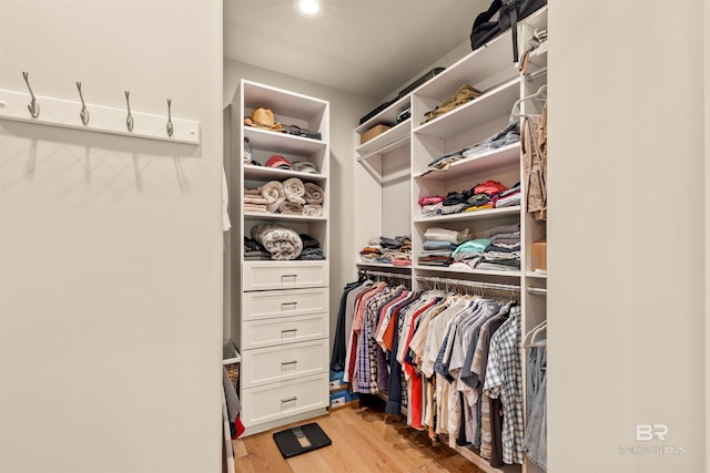 2282 W W Beach Blvd, Gulf Shores, AL 36542 - spacious closet featuring light wood-style flooring