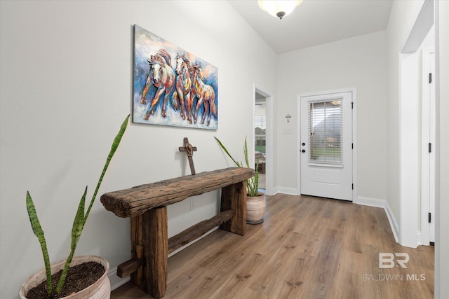 14437 Chenin Blanc Dr, Silverhill, AL 36576 - doorway to outside featuring light wood-style floors and baseboards