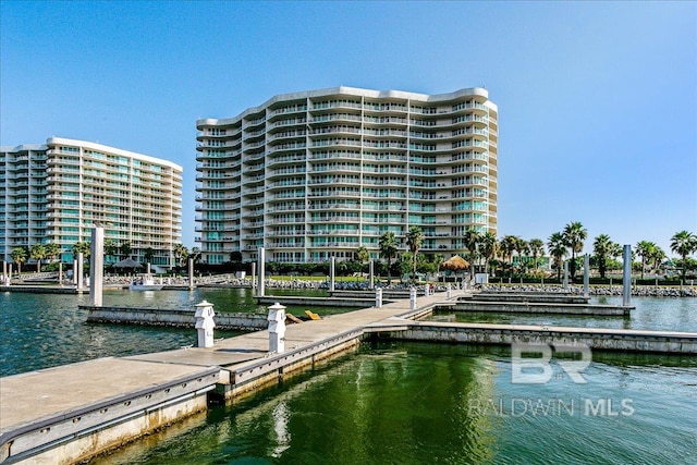 dock area featuring a water view