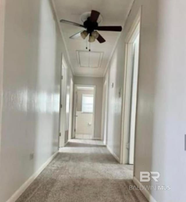 corridor with light colored carpet